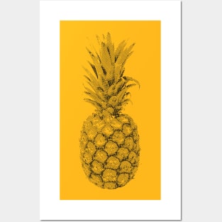 Engraved Pineapple Posters and Art